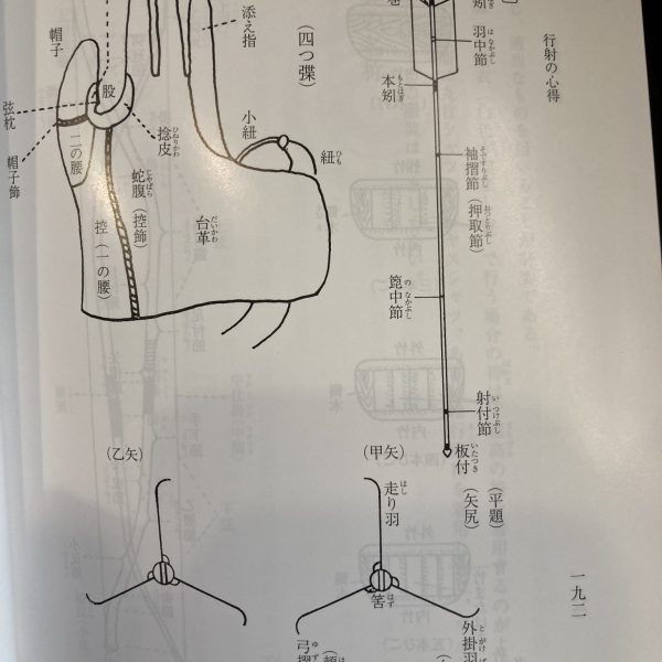 弓道 画像